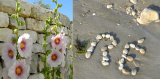 L’Ile de Ré – Un des plus beaux joyaux de la Charente-Maritime Ile de Ré