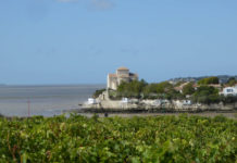 Talmont-sur-Gironde : La perle médiévale de l’estuaire Talmont sur gironde