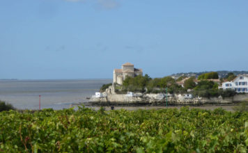 Talmont-sur-Gironde : La perle médiévale de l’estuaire Talmont sur gironde