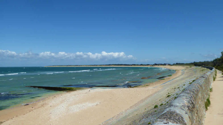 Plage Naturiste De La Conche Des Baleines île De Ré