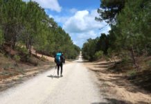 L’île d’Oléron à pied – 3 – Boyardville/Château d’Oléron/Gatseau foret des saumonards