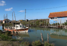 Week-end sur l’île d’Oléron – Une évasion nature sur la « Lumineuse »