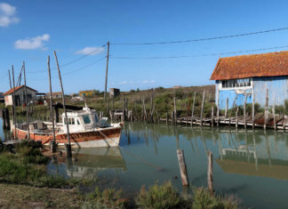 Week-end sur l’île d’Oléron – Une évasion nature sur la « Lumineuse »