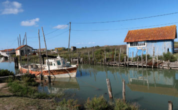 Week-end sur l’île d’Oléron – Une évasion nature sur la « Lumineuse »
